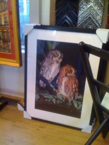 framed owls art