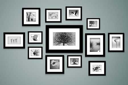 Various photos framed on a wall